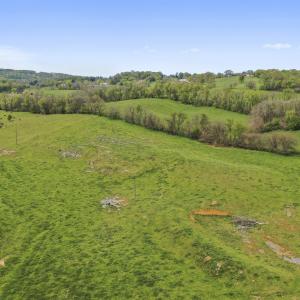 Photo #12 of 14004 AMERICAN LEGION DR, BROADWAY, VA 52.0 acres