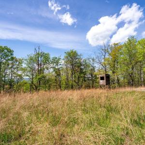 Photo #40 of 01 CUBBAGE HOLLOW RD, STANLEY, VA 225.3 acres