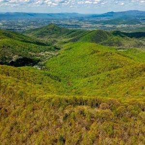 Photo #15 of 01 CUBBAGE HOLLOW RD, STANLEY, VA 225.3 acres