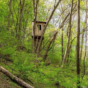 Photo #38 of 01 CUBBAGE HOLLOW RD, STANLEY, VA 225.3 acres