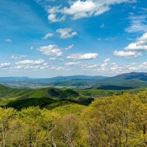 Photo #27 of 01 CUBBAGE HOLLOW RD, STANLEY, VA 225.3 acres