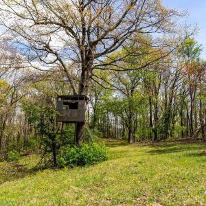 Photo #44 of 01 CUBBAGE HOLLOW RD, STANLEY, VA 225.3 acres