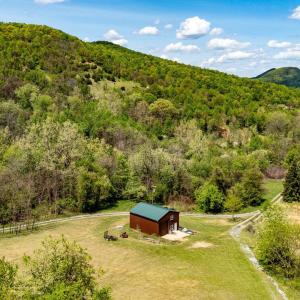 Photo #13 of 01 CUBBAGE HOLLOW RD, STANLEY, VA 225.3 acres