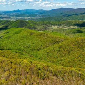 Photo #19 of 01 CUBBAGE HOLLOW RD, STANLEY, VA 225.3 acres