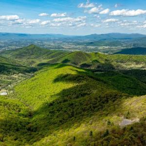 Photo #25 of 01 CUBBAGE HOLLOW RD, STANLEY, VA 225.3 acres