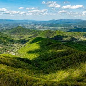 Photo #8 of 01 CUBBAGE HOLLOW RD, STANLEY, VA 225.3 acres