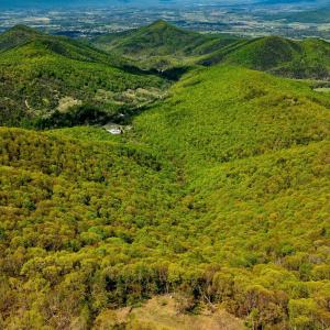Photo #17 of 01 CUBBAGE HOLLOW RD, STANLEY, VA 225.3 acres