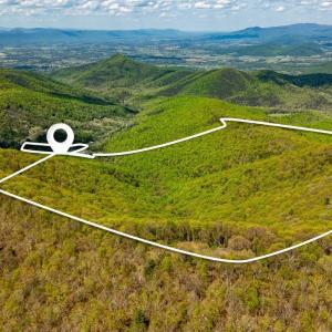 Photo #10 of 01 CUBBAGE HOLLOW RD, STANLEY, VA 225.3 acres