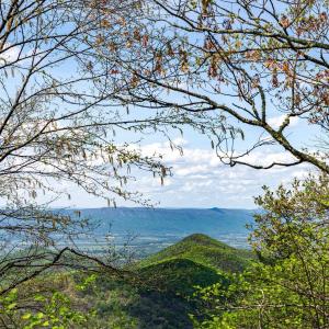 Photo #48 of 01 CUBBAGE HOLLOW RD, STANLEY, VA 225.3 acres