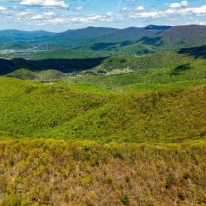 Photo #11 of 01 CUBBAGE HOLLOW RD, STANLEY, VA 225.3 acres