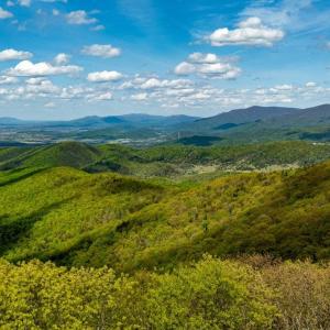 Photo #26 of 01 CUBBAGE HOLLOW RD, STANLEY, VA 225.3 acres