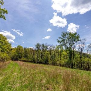 Photo #41 of 01 CUBBAGE HOLLOW RD, STANLEY, VA 225.3 acres