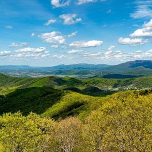 Photo #28 of 01 CUBBAGE HOLLOW RD, STANLEY, VA 225.3 acres
