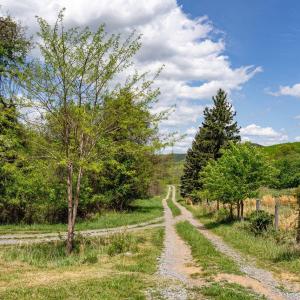 Photo #29 of 01 CUBBAGE HOLLOW RD, STANLEY, VA 225.3 acres
