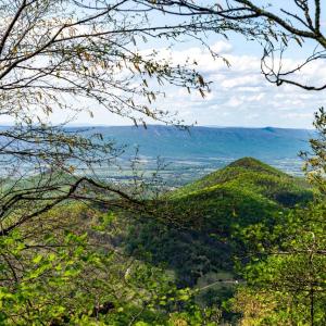 Photo #47 of 01 CUBBAGE HOLLOW RD, STANLEY, VA 225.3 acres