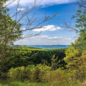 Photo #43 of 01 CUBBAGE HOLLOW RD, STANLEY, VA 225.3 acres
