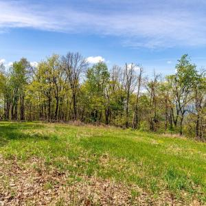 Photo #46 of 01 CUBBAGE HOLLOW RD, STANLEY, VA 225.3 acres
