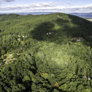 Photo #11 of Lot D3 HOLIDAY HILL RD, LURAY, VA 1.3 acres