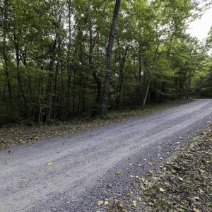 Photo #26 of Lot D3 HOLIDAY HILL RD, LURAY, VA 1.3 acres