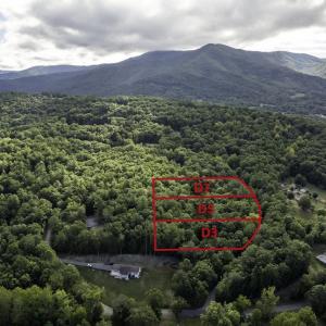 Photo #18 of Lot D3 HOLIDAY HILL RD, LURAY, VA 1.3 acres