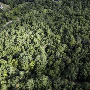 Photo #4 of Lot D3 HOLIDAY HILL RD, LURAY, VA 1.3 acres