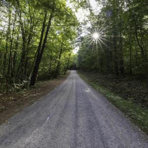 Photo #29 of Lot D3 HOLIDAY HILL RD, LURAY, VA 1.3 acres
