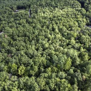 Photo #3 of Lot D3 HOLIDAY HILL RD, LURAY, VA 1.3 acres
