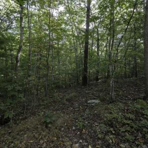 Photo #30 of Lot D3 HOLIDAY HILL RD, LURAY, VA 1.3 acres