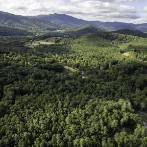 Photo #14 of Lot D3 HOLIDAY HILL RD, LURAY, VA 1.3 acres