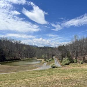 Photo #5 of WILLOW BRANCH LN, FABER, VA 14.8 acres