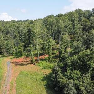Photo #13 of WILLOW BRANCH LN, FABER, VA 14.8 acres