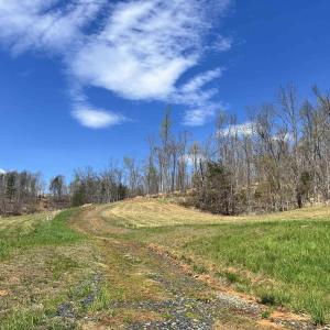 Photo #7 of WILLOW BRANCH LN, FABER, VA 14.8 acres