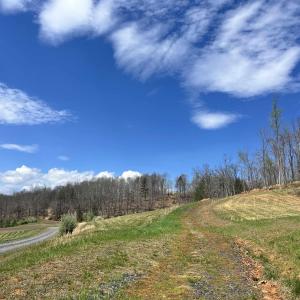 Photo #8 of WILLOW BRANCH LN, FABER, VA 14.8 acres