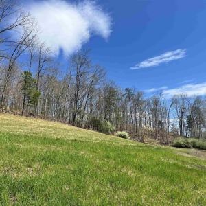 Photo #9 of WILLOW BRANCH LN, FABER, VA 14.8 acres