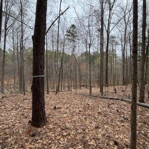Photo #7 of 018E7 GARTH GATE LN, CHARLOTTESVILLE, VA 21.0 acres