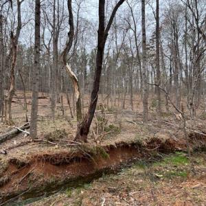 Photo #2 of 018E7 GARTH GATE LN, CHARLOTTESVILLE, VA 21.0 acres