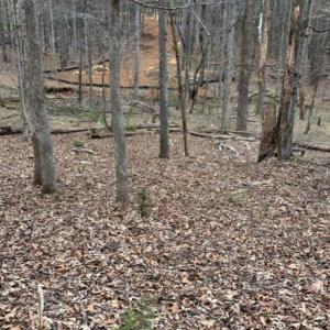 Photo #6 of 018E7 GARTH GATE LN, CHARLOTTESVILLE, VA 21.0 acres