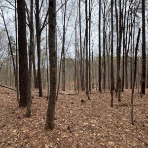 Photo #1 of 018E7 GARTH GATE LN, CHARLOTTESVILLE, VA 21.0 acres