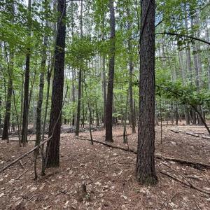 Photo #8 of 018E7 GARTH GATE LN, CHARLOTTESVILLE, VA 21.0 acres