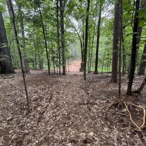 Photo #5 of 018E7 GARTH GATE LN, CHARLOTTESVILLE, VA 21.0 acres