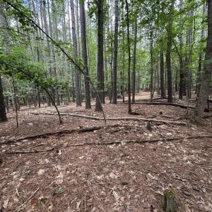 Photo #10 of 018E7 GARTH GATE LN, CHARLOTTESVILLE, VA 21.0 acres