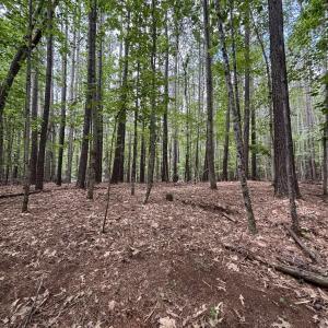 Photo #8 of 018E7 GARTH GATE LN, CHARLOTTESVILLE, VA 21.0 acres