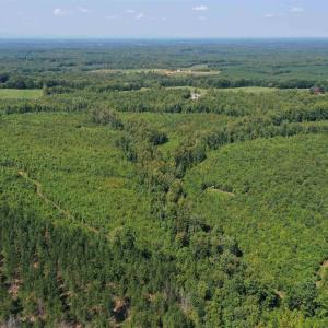 Photo #46 of TBD ANDERSONVILLE RD, DILLWYN, VA 80.0 acres