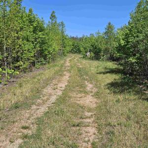 Photo #43 of TBD ANDERSONVILLE RD, DILLWYN, VA 80.0 acres