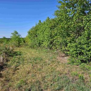 Photo #37 of TBD ANDERSONVILLE RD, DILLWYN, VA 80.0 acres