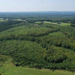 Photo #47 of TBD ANDERSONVILLE RD, DILLWYN, VA 80.0 acres