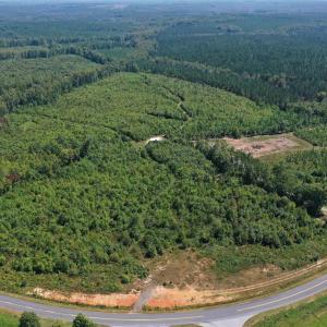 Photo #48 of TBD ANDERSONVILLE RD, DILLWYN, VA 80.0 acres