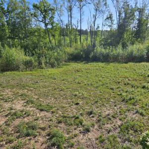 Photo #11 of TBD ANDERSONVILLE RD, DILLWYN, VA 80.0 acres