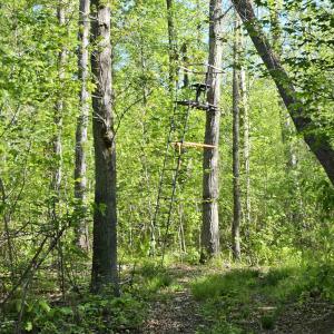 Photo #34 of TBD ANDERSONVILLE RD, DILLWYN, VA 80.0 acres