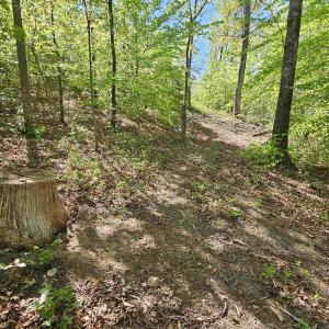 Photo #41 of TBD ANDERSONVILLE RD, DILLWYN, VA 80.0 acres